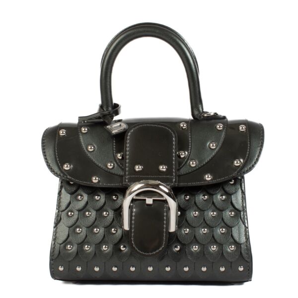 Delvaux Couture Exclusive Collection Brillant Iron Shield Bag